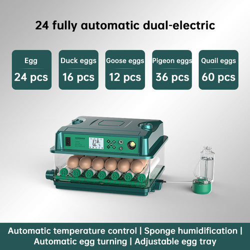 24/36 Egg Incubator Fully Automatic, Auto Turner & Temp Control, Dual Power 220V/12V Mini Poultry Hatcher for Chicken Duck